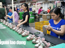 Thu nhập cao nhất của lao động có trình độ đại học khoảng 7,87 triệu đồng Thu nhập cao nhất của lao động có trình độ đại học khoảng 7,87 triệu đồng