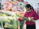 GDP 9 tháng tăng trưởng cao nhất 8 năm qua GDP 9 tháng tăng trưởng cao nhất 8 năm qua
