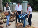 Máy bóc vỏ dừa 2 triệu đồng của hai học sinh lớp 8 Máy bóc vỏ dừa 2 triệu đồng của hai học sinh lớp 8