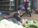 Thơm thảo “chợ rau miễn phí” cho người nghèo Thơm thảo “chợ rau miễn phí” cho người nghèo