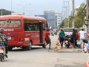 Xe dù, bến cóc vào mùa Xe dù, bến cóc vào mùa