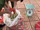 Gần Tết, hàng cấm ùn ùn qua Tây Nguyên Gần Tết, hàng cấm ùn ùn qua Tây Nguyên
