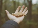 Mảnh đất phá tình người ở Hậu Giang… Mảnh đất phá tình người ở Hậu Giang…