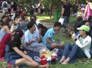 TP HCM : Các khu vui chơi đông nghẹt người ngày Tết Dương lịch TP HCM : Các khu vui chơi đông nghẹt người ngày Tết Dương lịch