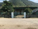 Đau lòng bé gái 4 tuổi bị xe tải tông chết trước trường mầm non Đau lòng bé gái 4 tuổi bị xe tải tông chết trước trường mầm non