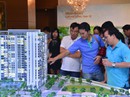 "Săn" BĐS thương mại diện tích lớn làm văn phòng cho thuê "Săn" BĐS thương mại diện tích lớn làm văn phòng cho thuê
