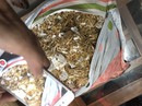 Vụ tìm chủ nhân 230 lượng vàng: 2 người bán vàng khai đầy mâu thuẫn Vụ tìm chủ nhân 230 lượng vàng: 2 người bán vàng khai đầy mâu thuẫn