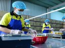 Trung Quốc "săn" doanh nghiệp Việt Trung Quốc "săn" doanh nghiệp Việt