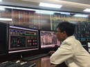 TP HCM bảo đảm điện phục vụ Tết TP HCM bảo đảm điện phục vụ Tết