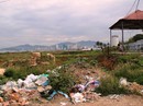 Dự án lấn vịnh Nha Trang giờ xử lý sao? Dự án lấn vịnh Nha Trang giờ xử lý sao?