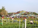 Chưa Tết, làng hoa lớn nhất miền Tây đã nườm nượp khách Chưa Tết, làng hoa lớn nhất miền Tây đã nườm nượp khách