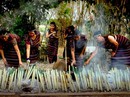 Đặc sắc Tết của người M’Nông Đặc sắc Tết của người M’Nông