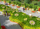 28-1 khai mạc Hội Hoa Xuân Hiệp Phước Tết Kỷ Hợi 2019 28-1 khai mạc Hội Hoa Xuân Hiệp Phước Tết Kỷ Hợi 2019