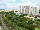 Bay lên Việt Nam Bay lên Việt Nam