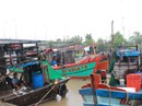 Nhiều tàu cá gặp nạn trên đường tránh bão số 1 Nhiều tàu cá gặp nạn trên đường tránh bão số 1