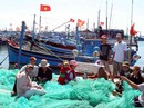Những đứa con của trùng khơi Những đứa con của trùng khơi