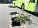 Ớn lạnh với hố ga chờ "nuốt người" ở cửa ngõ sân bay Tân Sơn Nhất Ớn lạnh với hố ga chờ "nuốt người" ở cửa ngõ sân bay Tân Sơn Nhất