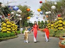 Tết nên đi du lịch hay ở nhà đón Tết truyền thống? Tết nên đi du lịch hay ở nhà đón Tết truyền thống?