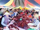 Nên dẹp lễ hội bạo lực (*): Đừng sử dụng văn hóa, truyền thống làm bình phong! Nên dẹp lễ hội bạo lực (*): Đừng sử dụng văn hóa, truyền thống làm bình phong!