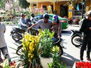 Phố cổ Hội An nhộn nhịp ngày cuối năm Phố cổ Hội An nhộn nhịp ngày cuối năm