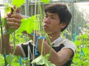 Từng đội bánh bán dạo, 9X trở thành ông chủ trại dưa lưới “khủng” Từng đội bánh bán dạo, 9X trở thành ông chủ trại dưa lưới “khủng”