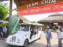 Du khách ùn ùn kéo đến Tràm Chim tham quan, nghỉ dưỡng trong dịp Tết Du khách ùn ùn kéo đến Tràm Chim tham quan, nghỉ dưỡng trong dịp Tết