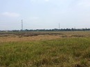 Đất nền ngoại thành TP HCM có thể tăng giá 30% Đất nền ngoại thành TP HCM có thể tăng giá 30%