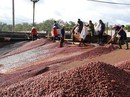 Giữ bản sắc cà phê Việt Giữ bản sắc cà phê Việt