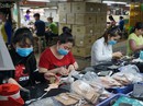Thanh tra đột xuất doanh nghiệp nợ bảo hiểm Thanh tra đột xuất doanh nghiệp nợ bảo hiểm