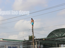 Nhiều giờ giải cứu nam thanh niên nghi "ngáo đá" leo cột điện la hét, nhún nhảy Nhiều giờ giải cứu nam thanh niên nghi "ngáo đá" leo cột điện la hét, nhún nhảy