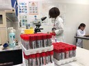 Gần 1.700 trẻ xét nghiệm sán lợn: Lãnh đạo Bắc Ninh làm việc với bệnh viện Gần 1.700 trẻ xét nghiệm sán lợn: Lãnh đạo Bắc Ninh làm việc với bệnh viện
