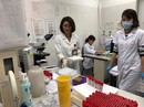 Gần 2.000 trẻ đi xét nghiệm, 209 trường hợp dương tính với sán lợn Gần 2.000 trẻ đi xét nghiệm, 209 trường hợp dương tính với sán lợn