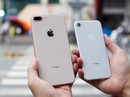 Kém thu hút, iPhone 8 ế ẩm, nhiều siêu thị ngưng kinh doanh Kém thu hút, iPhone 8 ế ẩm, nhiều siêu thị ngưng kinh doanh