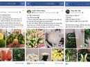 Nhộn nhịp "chợ online" ở chung cư Nhộn nhịp "chợ online" ở chung cư