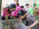 Thủy sản sinh thái, hữu cơ cho người Việt Thủy sản sinh thái, hữu cơ cho người Việt