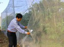 HẠN MẶN KHỐC LIỆT ÁM ẢNH MIỀN TÂY (*): Lựa chọn mô hình thích ứng HẠN MẶN KHỐC LIỆT ÁM ẢNH MIỀN TÂY (*): Lựa chọn mô hình thích ứng