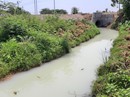 Vụ nước thải tuôn ra kênh ở Đà Nẵng: Đề xuất xử lý 2 công ty xả thải Vụ nước thải tuôn ra kênh ở Đà Nẵng: Đề xuất xử lý 2 công ty xả thải