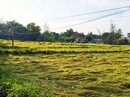 Kéo điện bẫy chuột, vợ chết, chồng nguy kịch Kéo điện bẫy chuột, vợ chết, chồng nguy kịch