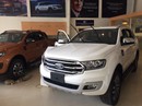 Thị trường xe bán tải vẫn ế ẩm trước giờ tăng phí trước bạ Thị trường xe bán tải vẫn ế ẩm trước giờ tăng phí trước bạ