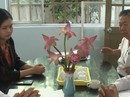 TP HCM đã có 10 trung tâm hòa giải, đối thoại tại tòa án TP HCM đã có 10 trung tâm hòa giải, đối thoại tại tòa án