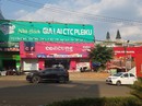 Gia Lai: Cho thuê hàng loạt đất công trái luật Gia Lai: Cho thuê hàng loạt đất công trái luật
