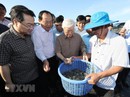 Hình ảnh Tổng Bí thư, Chủ tịch nước Nguyễn Phú Trọng làm việc ở Kiên Giang Hình ảnh Tổng Bí thư, Chủ tịch nước Nguyễn Phú Trọng làm việc ở Kiên Giang