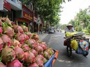 Trung Quốc siết đường tiểu ngạch, lo rau quả bí đầu ra Trung Quốc siết đường tiểu ngạch, lo rau quả bí đầu ra