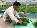 Doanh nghiệp "nhà quê" hướng tới môi trường Doanh nghiệp "nhà quê" hướng tới môi trường