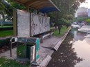"Ao, hồ" giữa đường "Ao, hồ" giữa đường