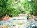 Tiên cảnh giữa núi rừng Phong Nha Tiên cảnh giữa núi rừng Phong Nha