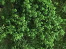 Đã xác định nguyên nhân nam thanh niên tử vong ở chân cầu Cao Lãnh Đã xác định nguyên nhân nam thanh niên tử vong ở chân cầu Cao Lãnh