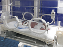 Giấu thầy cô, bạn bè, nữ sinh lớp 11 tự "vượt cạn" trong ký túc xá Giấu thầy cô, bạn bè, nữ sinh lớp 11 tự "vượt cạn" trong ký túc xá