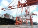 Đang còn lùm xùm, cảng Quy Nhơn muốn tăng vốn