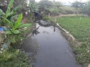 Vướng giải tỏa, dự án thoát nước thải "đứng bánh" Vướng giải tỏa, dự án thoát nước thải "đứng bánh"